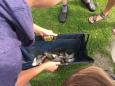 IMG 3561