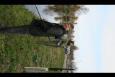 IMG 0220