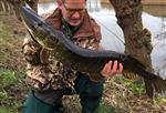 Tijdens de snoekwedstrijd van Zondag 28 Februari is een snoek gevangen van 104 cm!
